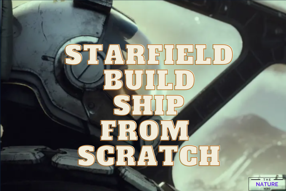 How To Build Ship From Scratch In Starfield The Nature Hero