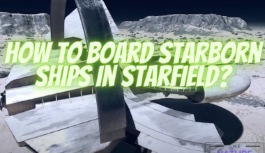 board starborn ships