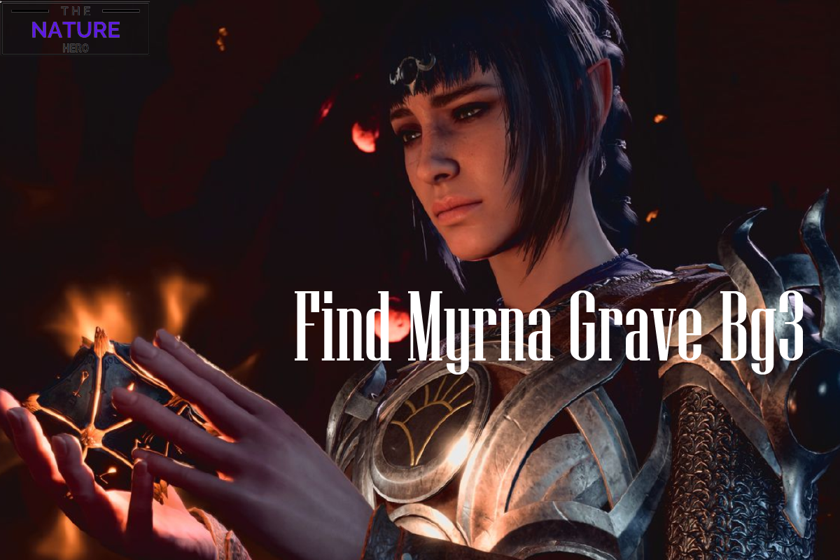 How To Find Myrna Grave In BG3 The Nature Hero   Myrnagarave 