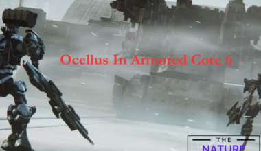 ocellus armored core 6