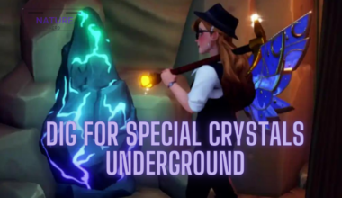 dig for special crystals underground