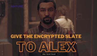 give the encrypted slate to alex