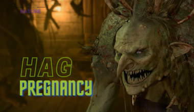 hag pregnancy bg3