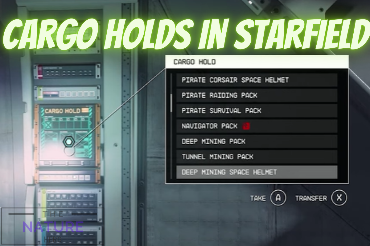 Cargo Hold In Starfield: Maximizing Your Ship's Storage Capacity - The ...