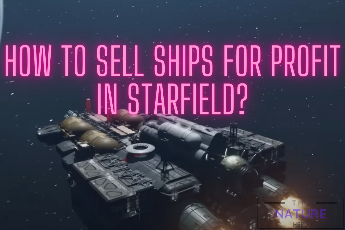 How To Sell Ships For Profit In Starfield The Nature Hero   Starfield Sell Ships For Profit 