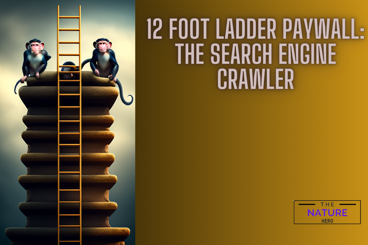 Understanding The 12 Foot Ladder Paywall: A Comprehensive Guide