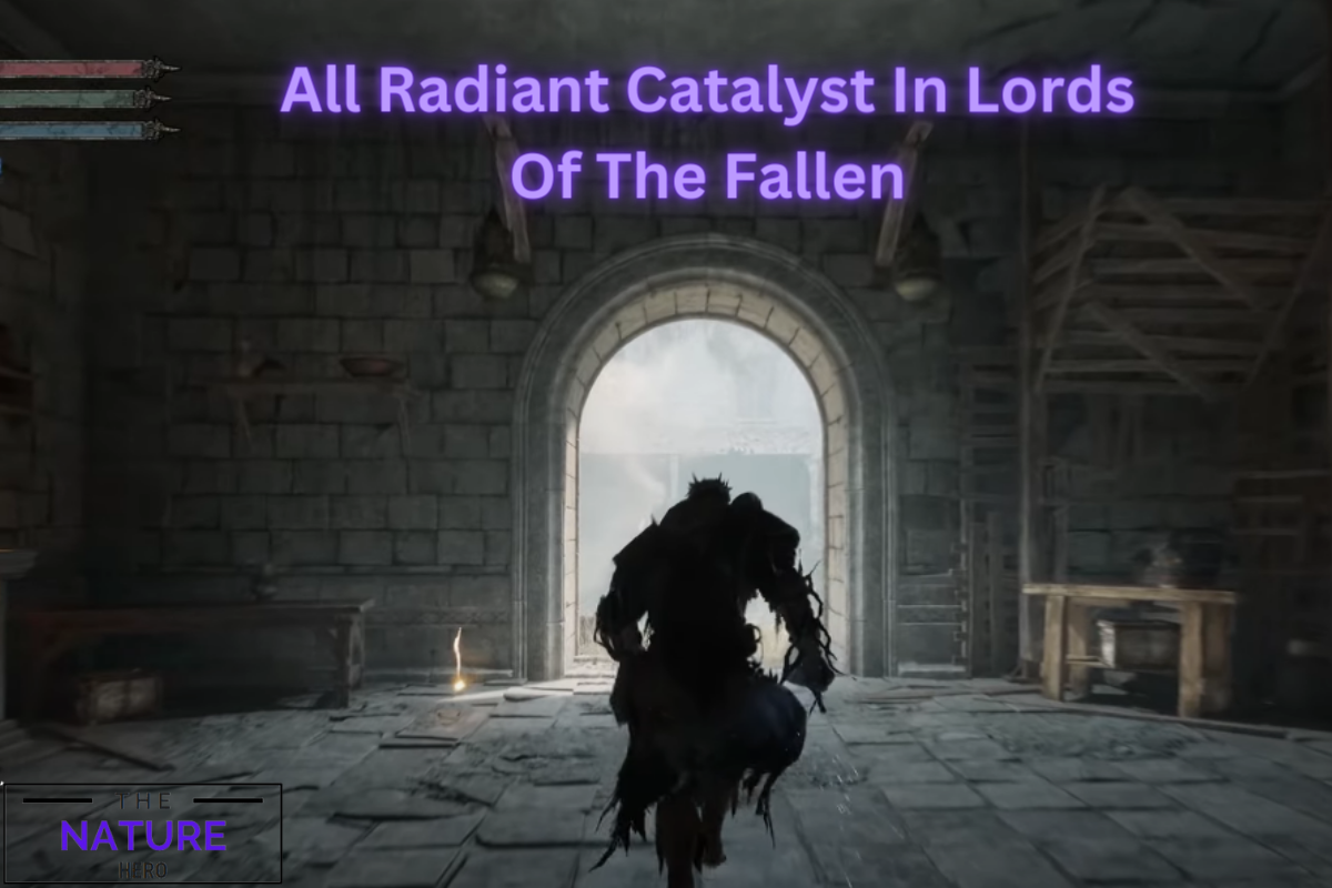 Lords Of The Fallen - How To Get The Radiant Ending And Radiant Purifier  Class - GameSpot