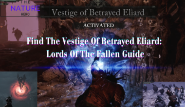 Find The Vestige Of Betrayed Eliard