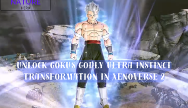 Ultra Instinct Godly Transformation