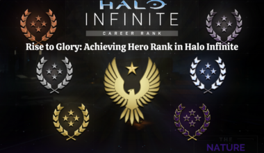 How to get hero rank in halo infinite