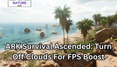 ARK Survival Ascended: How To Turn Off Clouds For FPS Boost