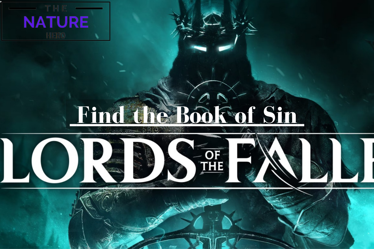 Book of Sin Location - Lords of the Fallen - Exacter Dunmire