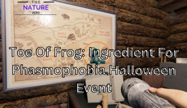 Toe Of Frog: Ingredient For Phasmophobia Halloween Event