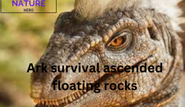 Ark survival Ascended Floating Rocks