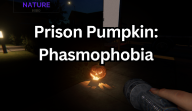Prison Pumpkin in Phasmophobia.