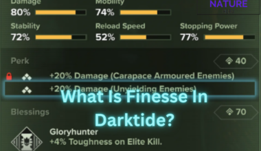 What Is Finesse In Darktide?