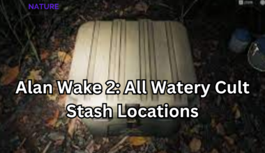 Alan Wake 2 All Watery Cult Stash Locations
