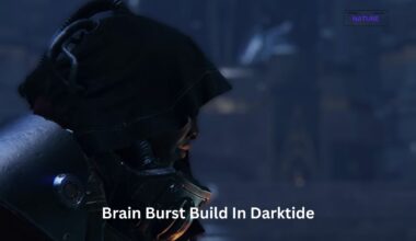 darktide brain burst build