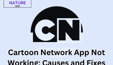 Cartoon Network App not working: Causes and Fixes