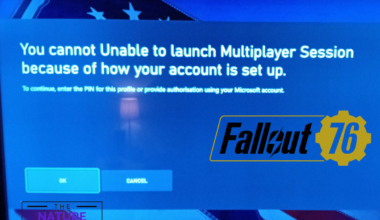 fallout 76 you cannot unable to launch multiplayer session
