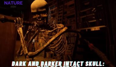 Dark And Darker Intact Skull How To Get It