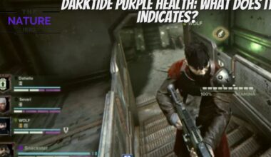 Darktide Purple Health What Does It Indicates