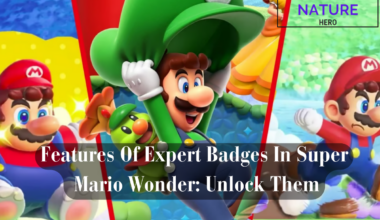 Features Of Expert Badges In Super Mario Wonder Unlock Them