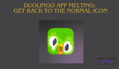 melting Duolingo app