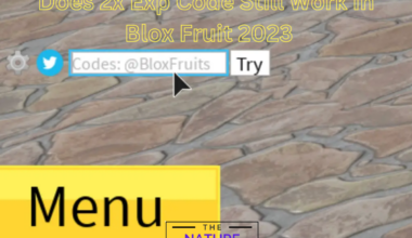 Does 2x Exp Code Still Work In Blox Fruit 2023?