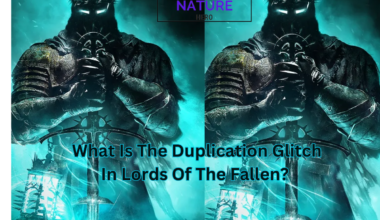 What Is The Duplication Flitch In Lords Of The Fallen?