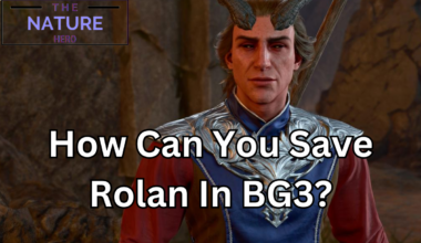 Saving Rolan from the shadows in BG3.