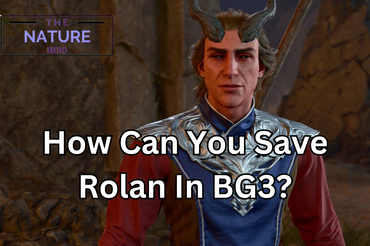 How Can You Save Rolan In BG3 The Nature Hero   How Can You Save Rolan In BG3 