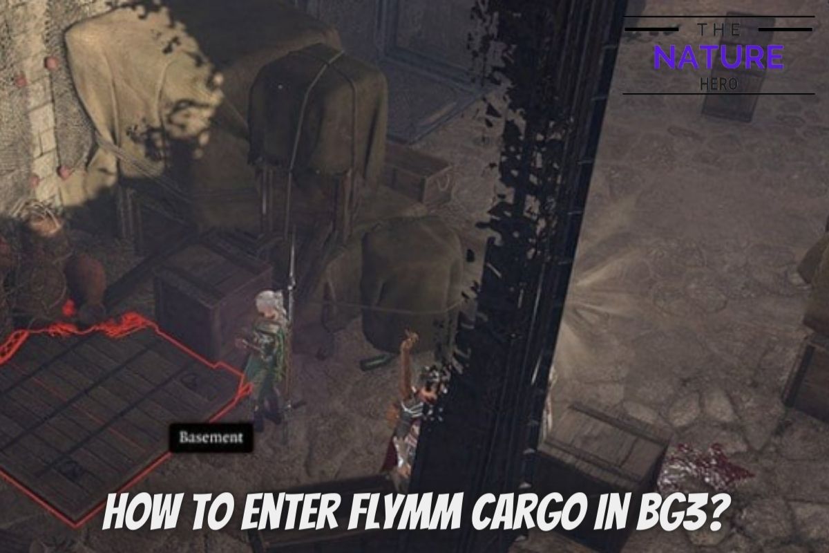 How To Enter Flymm Cargo In Baldur S Gate 3 The Nature Hero   How To Enter Flymm Cargo In Bg3 