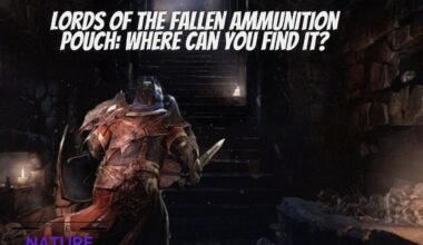 Lords Of The Fallen Ammunition Pouch Where Can You Find It