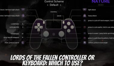 Lords Of The Fallen Controller Or Keyboard Which To Use