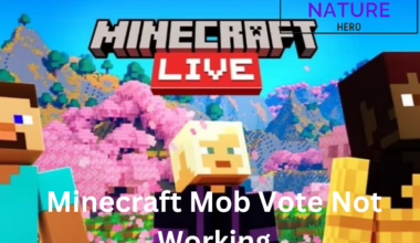 Minecraft Mob Vote Not Working