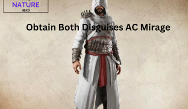 Obtain Both Disguises AC Mirage