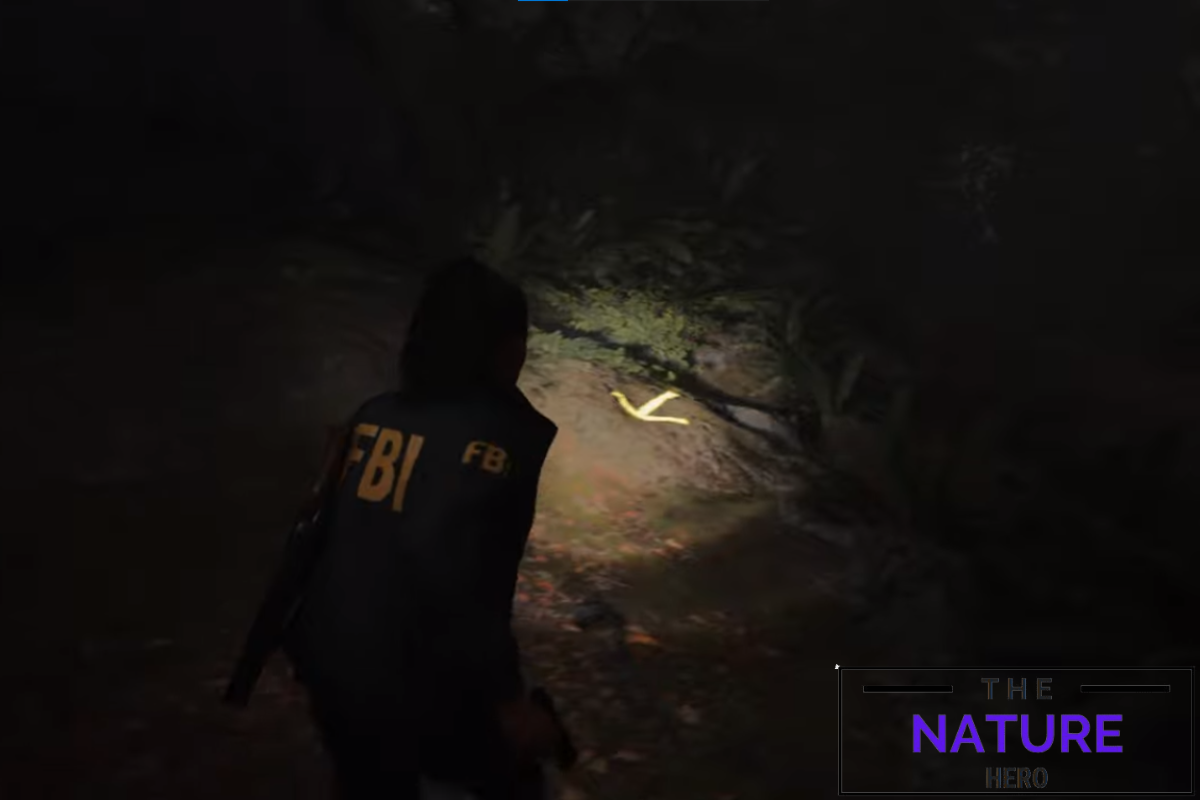 Optional Investigate The Previously Flooded Area In Alan Wake 2 - The