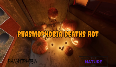 phasmophobia deaths rot