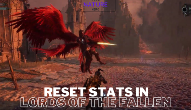 Reset stats in lords of the fallen