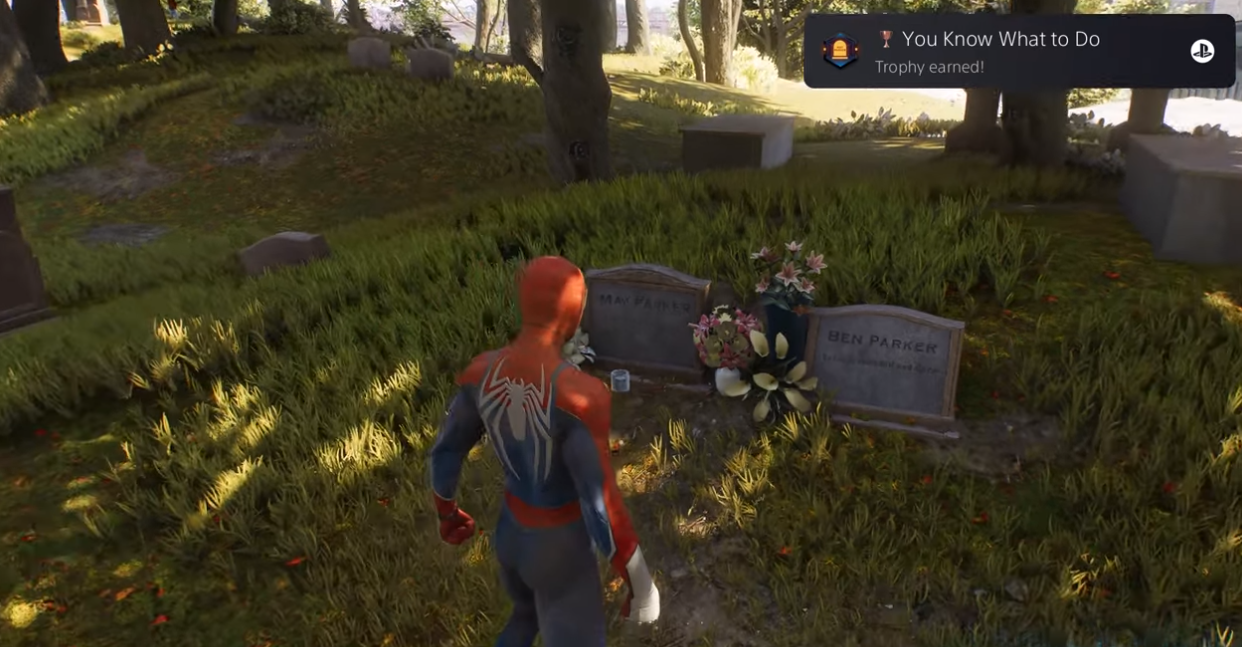 visit aunt may's grave