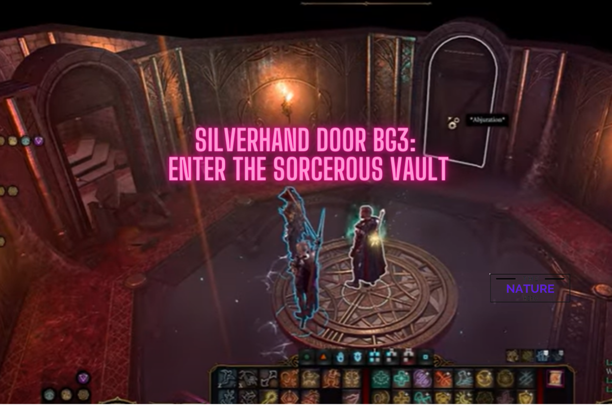 Silverhand Door BG3: Enter The Sorcerous Vault - The Nature Hero