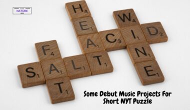 Some Debut Music Projects For Short NYT Puzzle