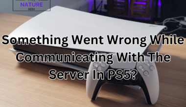 Something Went Wrong While Communicating With The Server In PS5