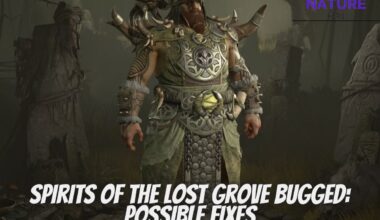 Spirits Of The Lost Grove Bugged Possible Fixes