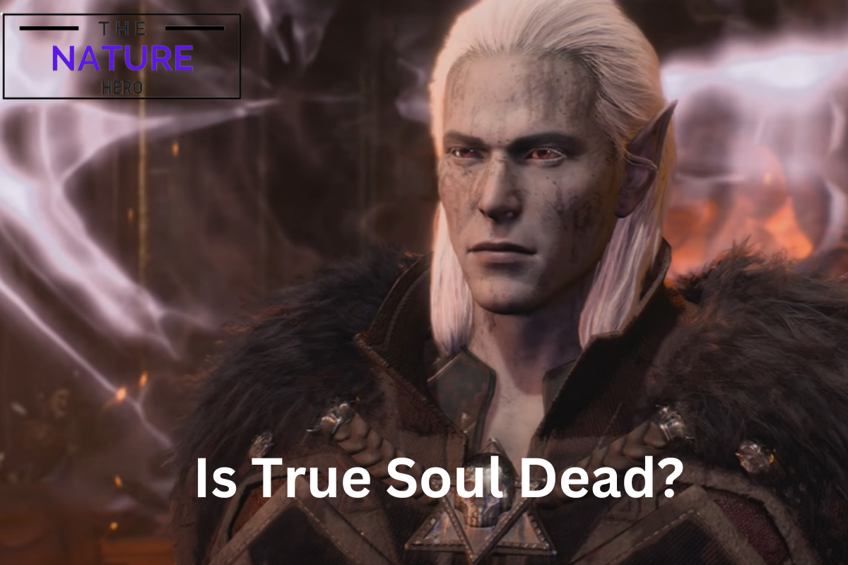 What If True Soul Nere Is Already Dead In BG3 The Nature Hero   True Soul Nere In BG3 