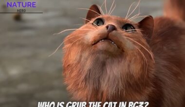 Who Is Grub The Cat In Bg3