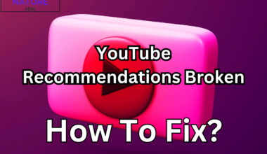 YouTube Recommendations Broken