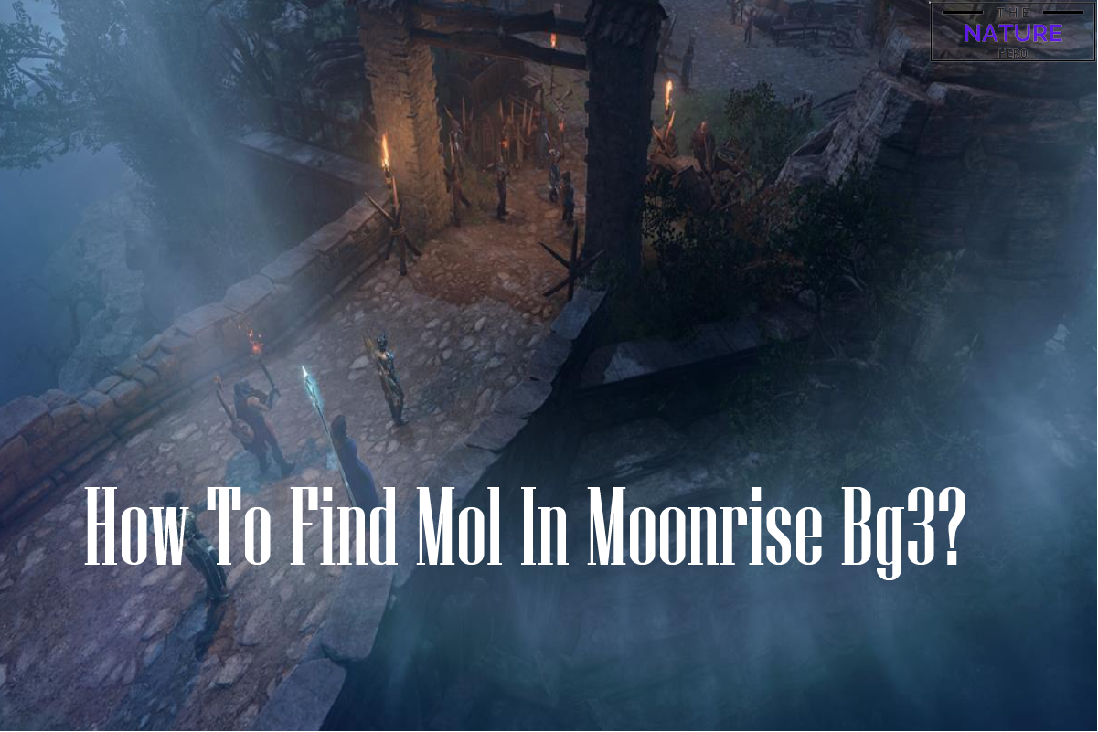 How To Find Mol In Moonrise Baldur S Gate 3 The Nature Hero   Howtofindmolinmoonsrisebg3 