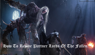 lords of the fallen revive partner